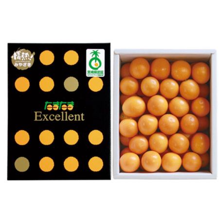 [美郷ノ蔵]完熟金柑「たまたまエクセレント」化粧箱1kg
